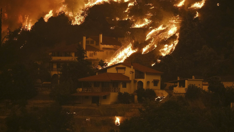 Ελλάδα: Ανυπολόγιστη η καταστροφή από τις πυρκαγιές, μόλις 700 οι ασφαλισμένες ζημιές