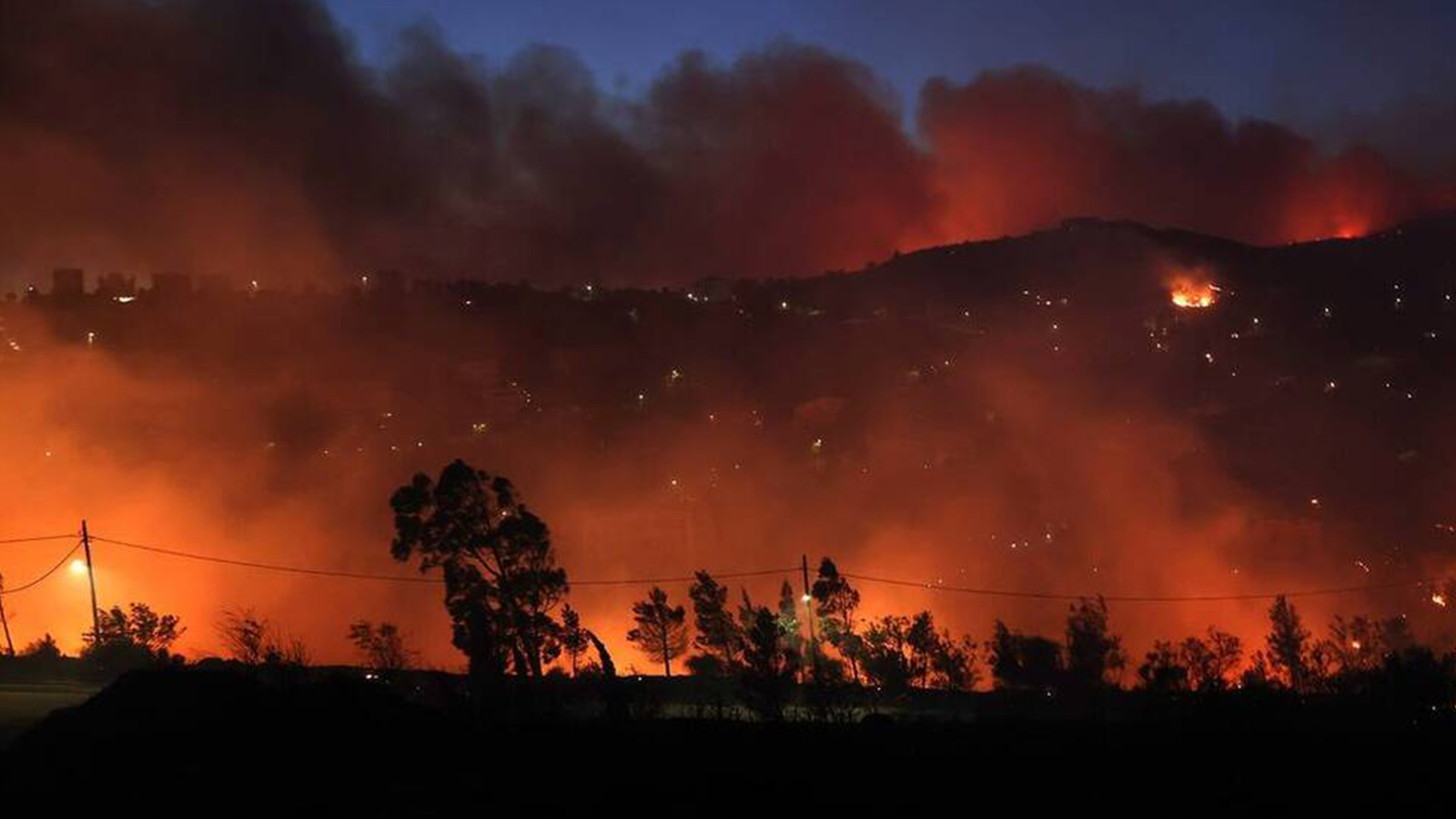 ΕΑΕΕ: €6 εκατ. οι αποζημιώσεις για τις δασικές πυρκαγιές του Ιουλίου 2022 στην Αττική