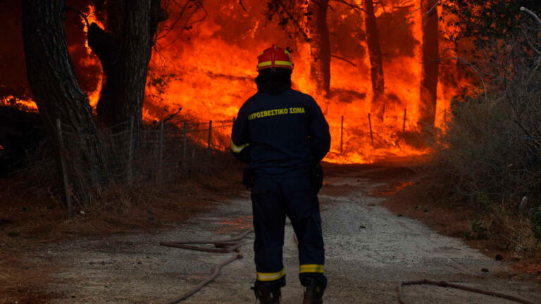 ΕΑΕΕ: €49 εκατ. οι αποζημιώσεις για τις δασικές πυρκαγιές του καλοκαιριού 2023