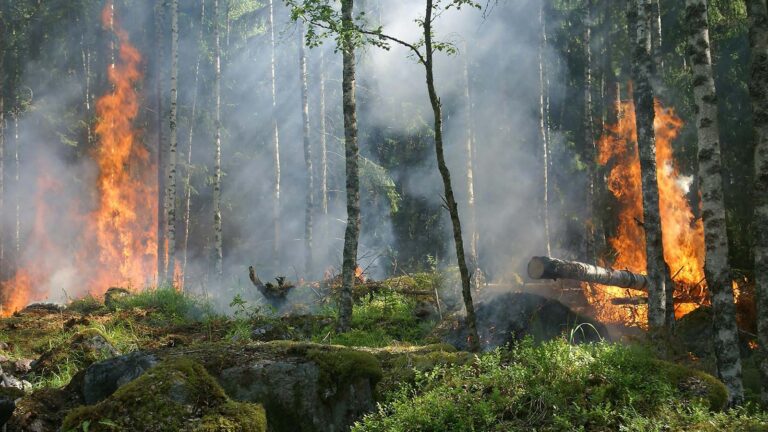 Η ΕΕ ενισχύει την ετοιμότητά της για την αντιμετώπιση των δασικών πυρκαγιών το 2024