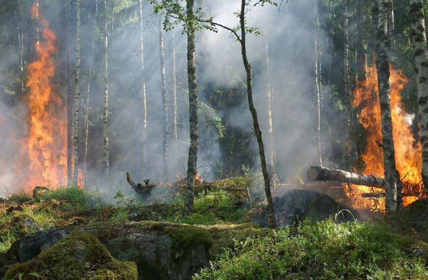 Η ΕΕ ενισχύει την ετοιμότητά της για την αντιμετώπιση των δασικών πυρκαγιών το 2024