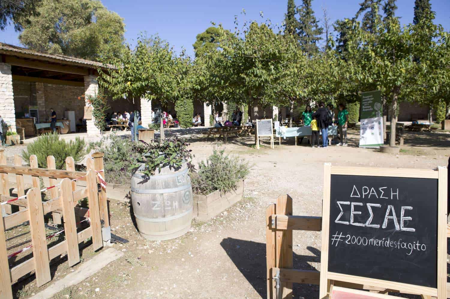 2.000 μερίδες φαγητό μαγείρεψαν τα μέλη του ΣΕΣΑΕ σε συνεργασία με την Οργάνωση ΓΗ
