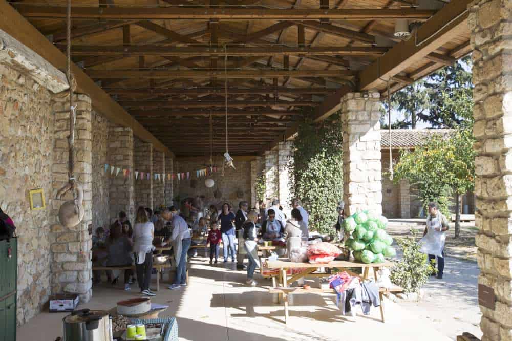 Ο ΣΕΣΑΕ γιόρτασε την Ημέρα Ασφάλισης μαγειρεύοντας