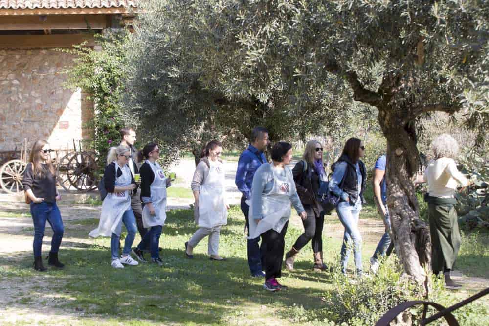 Ο ΣΕΣΑΕ γιόρτασε την Ημέρα Ασφάλισης μαγειρεύοντας