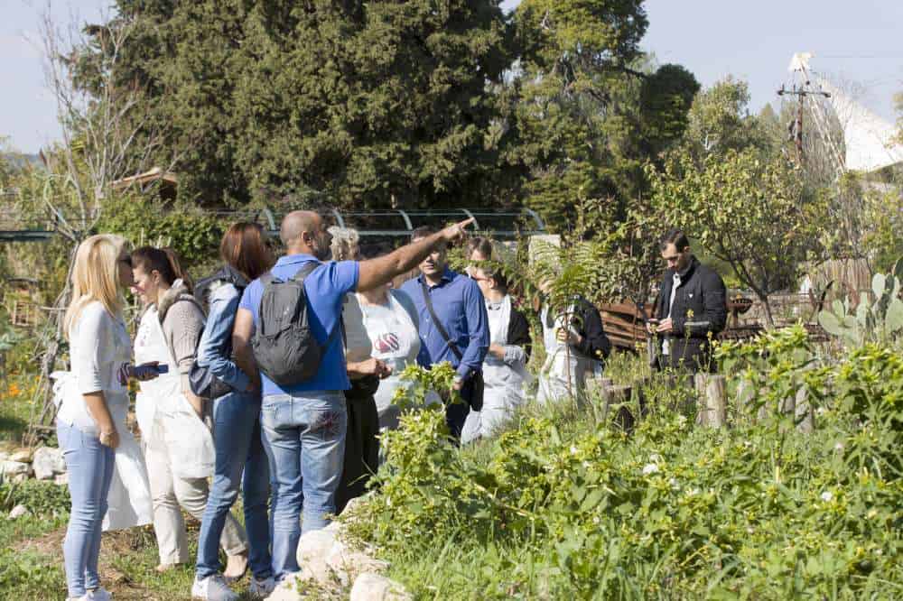 Ο ΣΕΣΑΕ γιόρτασε την Ημέρα Ασφάλισης μαγειρεύοντας