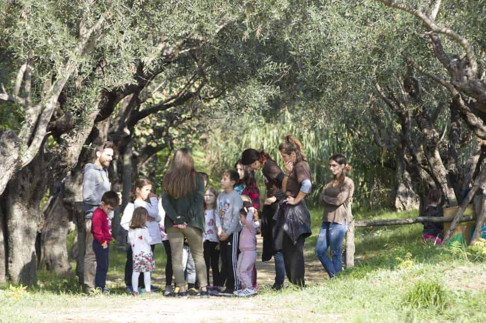 Ο ΣΕΣΑΕ γιόρτασε την Ημέρα Ασφάλισης μαγειρεύοντας