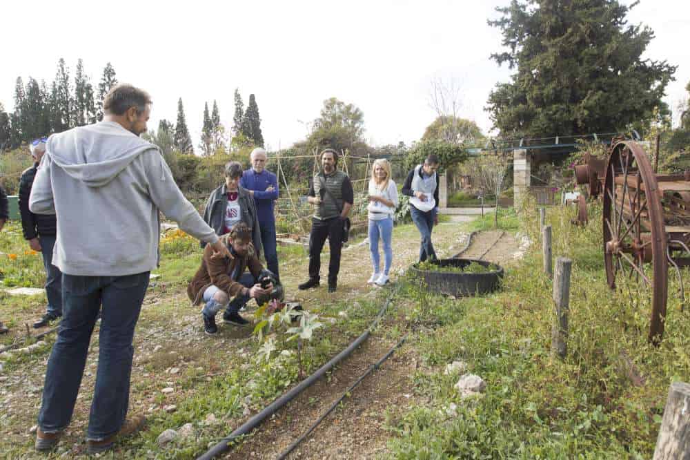 Ο ΣΕΣΑΕ γιόρτασε την Ημέρα Ασφάλισης μαγειρεύοντας