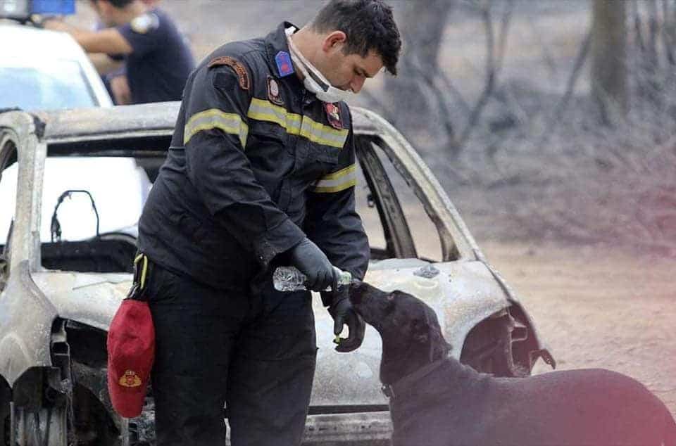 Εθνική Ασφαλιστική: Οι Βραβευθέντες συνεργάτες του Δικτύου Πωλήσεων