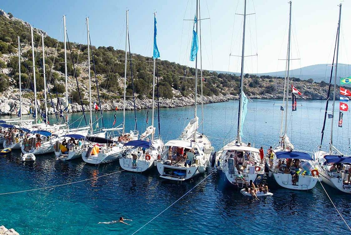 Οργάνωση και λειτουργία Κλάδου Ασφάλισης Σωμάτων Πλοίων