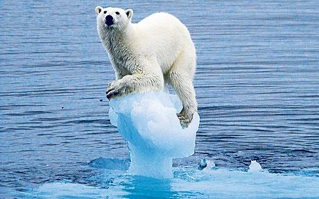 66 κορυφαίοι ασφαλιστές υπογράφουν το Climate Risk Statement της Geneva Association