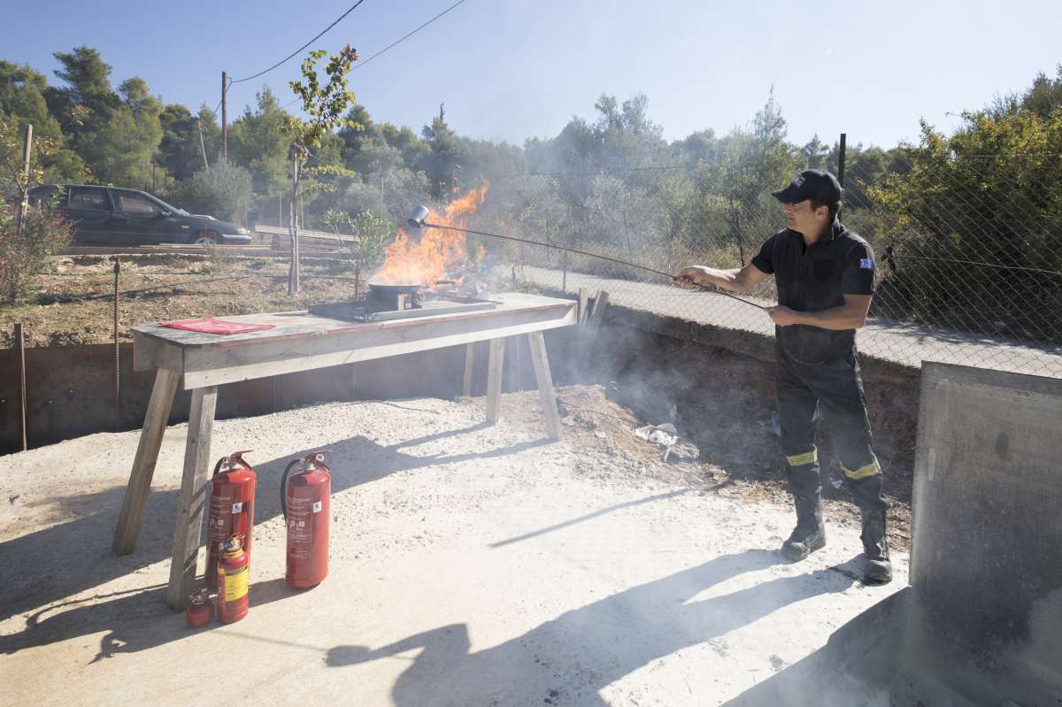 Ο ΣΕΣΑΕ προωθεί τον εθελοντισμό για την προστασία των δασών