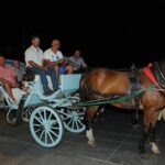 Φωτογραφίες από το Generali Trophy 2015
