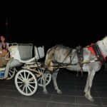 Φωτογραφίες από το Generali Trophy 2015