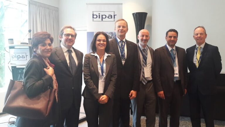 O ΣΕΜΑ στο Bipar’s IDD Workshop