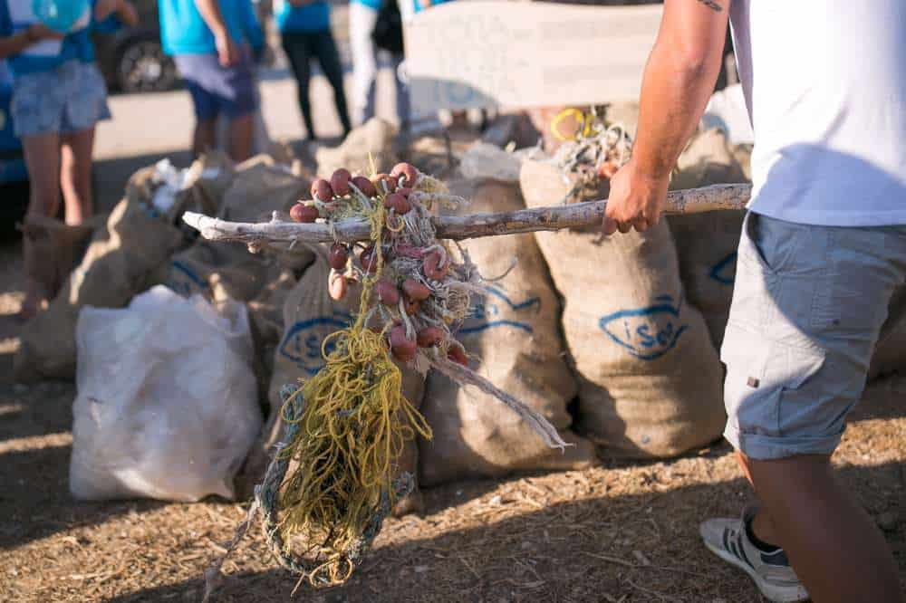 «Η γόπα σου έσωσε τη γόπα» - Περιβαλλοντική δράση της ΑΧΑ