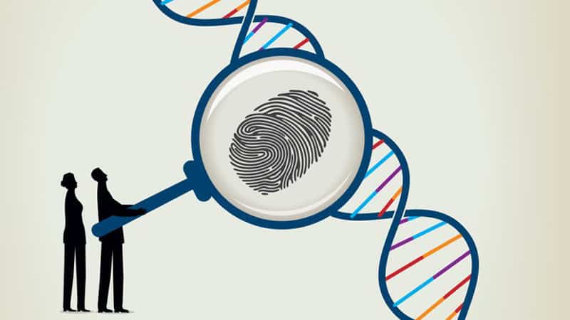 Αλλάζοντας το DNA των ασφαλιστών