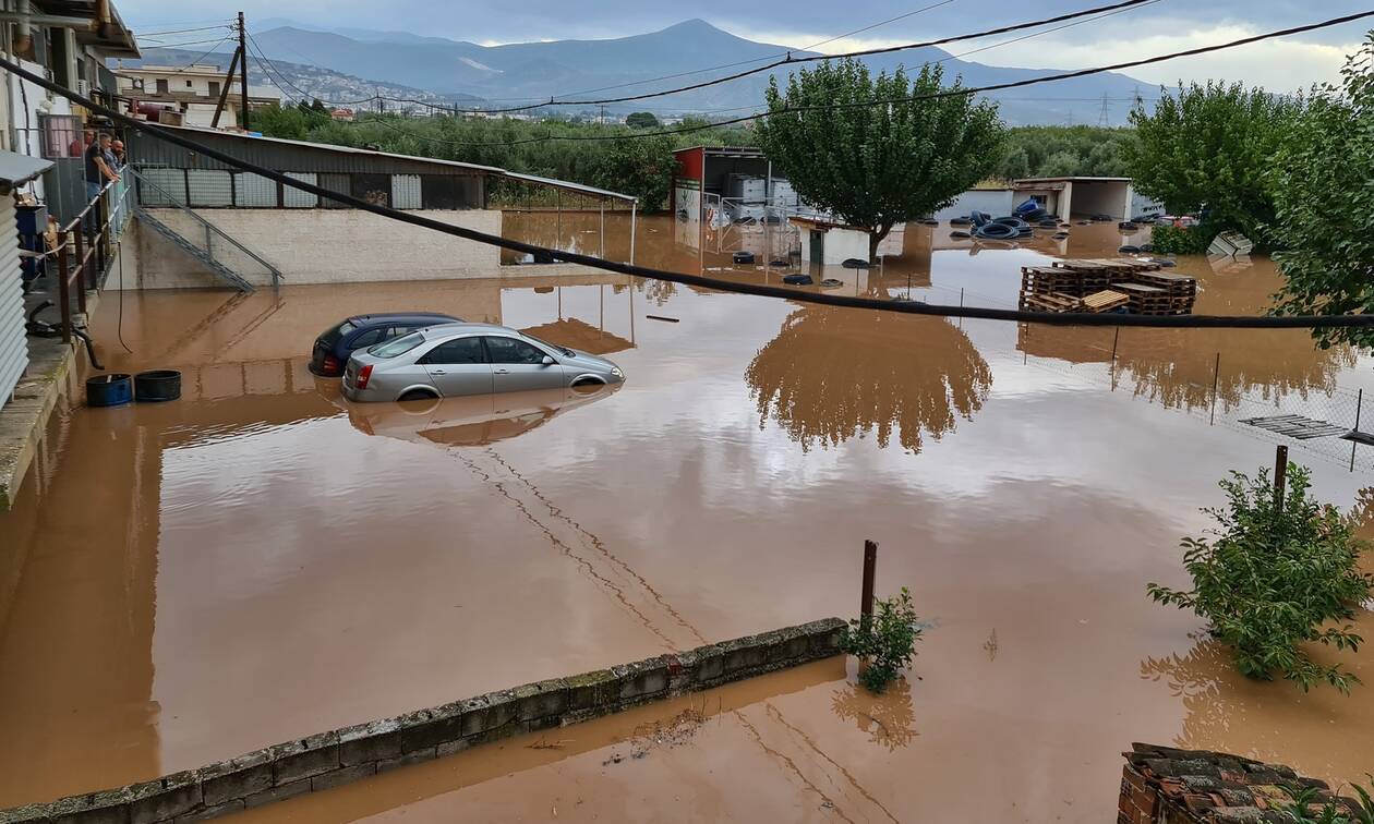 Αντιμετώπιση φυσικών καταστροφών: Τι σχεδιάζει στη Θεσσαλία η Swiss Re;