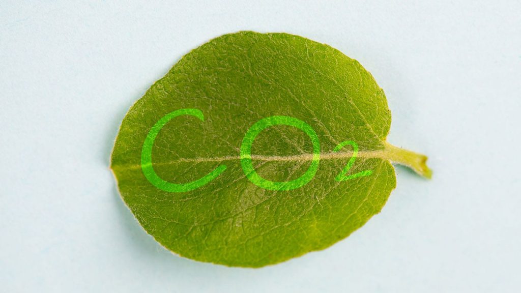 ΕΑΕΕ: Νέο τεύχος Sustainability Newsletter