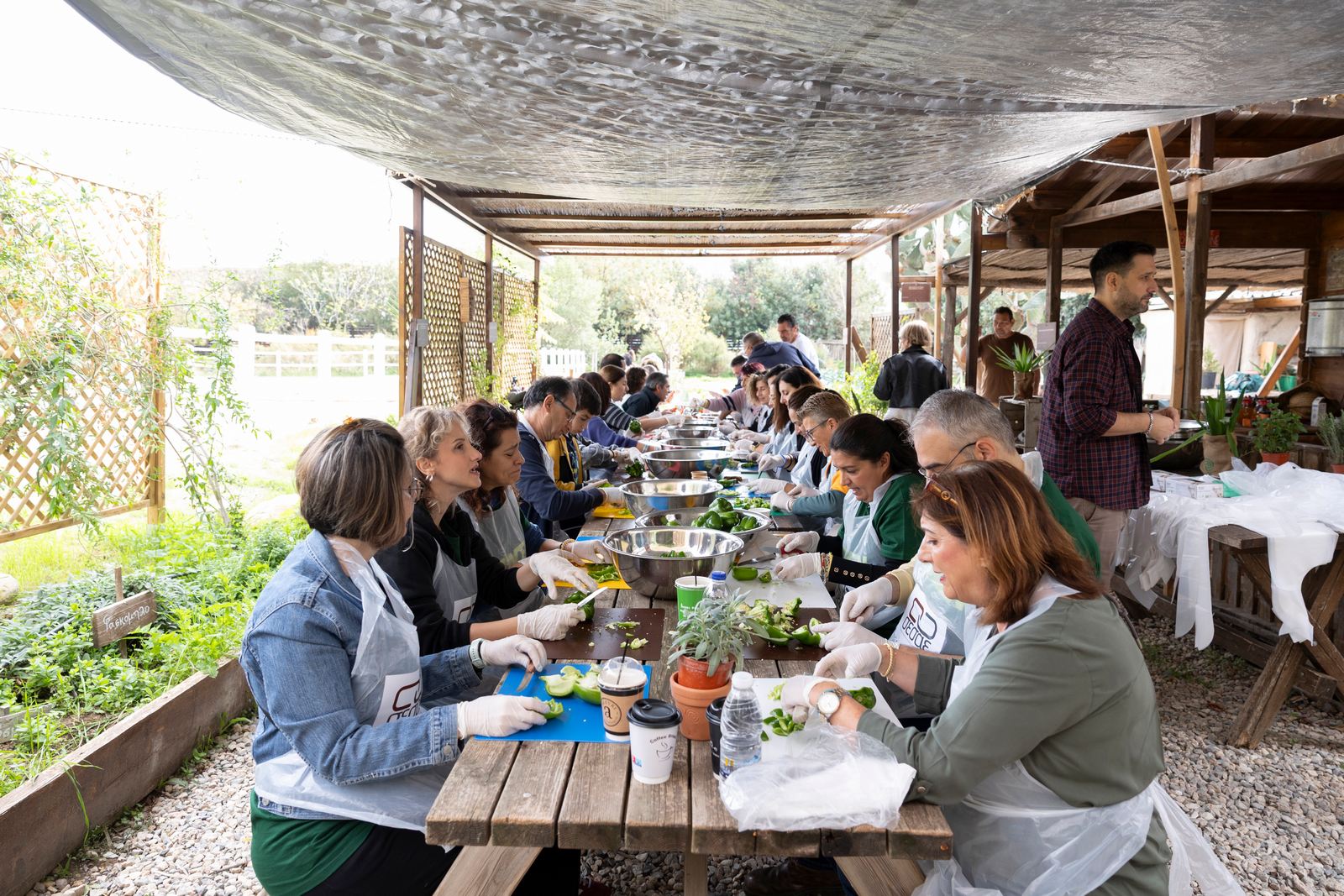 2.000 μερίδες φαγητό ετοιμάστηκαν από τον Σ.Ε.Σ.Α.Ε. σε συνεργασία με την Οργάνωση ΓΗ