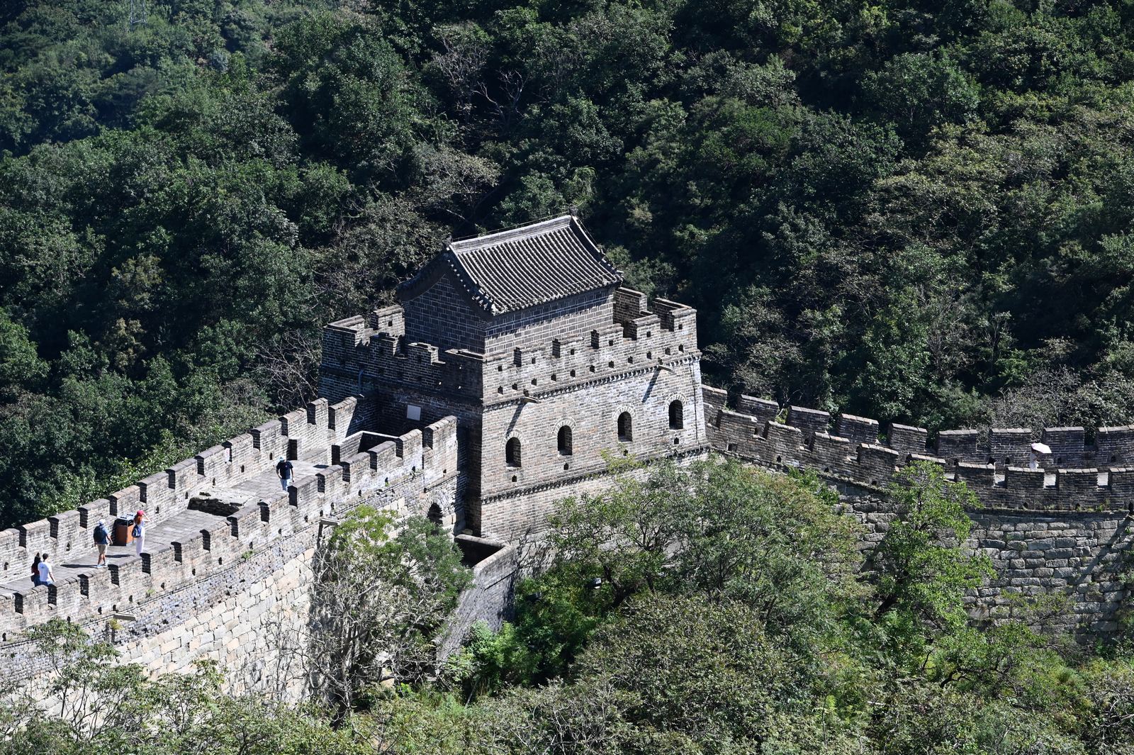 Ένα Ταξίδι Έμπνευσης και Εξέλιξης: Οι Συνεργάτες της Generali στην Κίνα