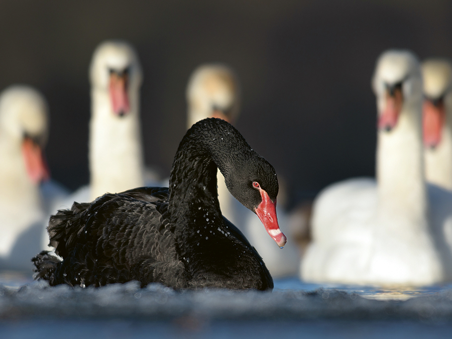 Στ. Τζανίδης: Γιατί η ασφάλιση πιστώσεων είναι χρήσιμη και πώς αντιμετωπίζουμε στην Atradius τα sudden defaults Στ. Τζανίδης: Γιατί η ασφάλιση πιστώσεων είναι χρήσιμη και πώς αντιμετωπίζουμε στην Atradius τα sudden defaults