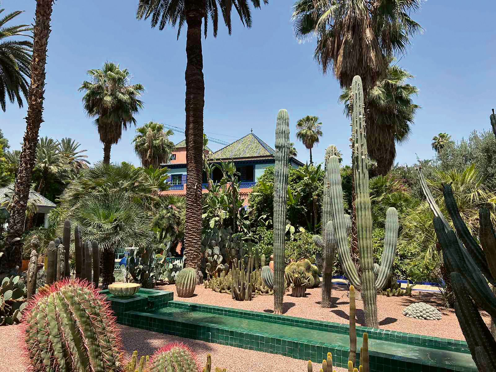 Bliss Events: Μαρόκο - Μωσαϊκό εμπειριών & αισθήσεων