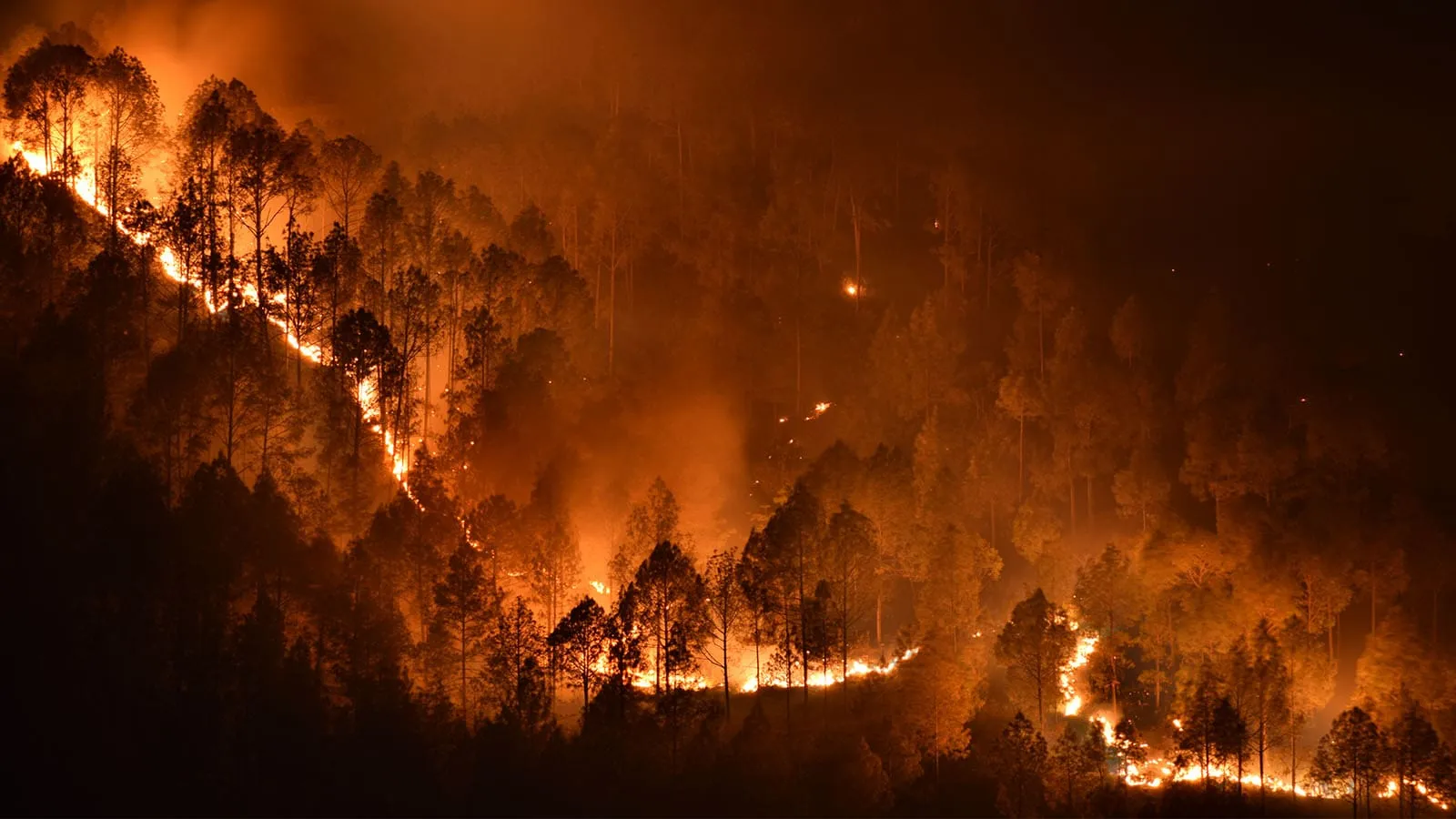 Σε διαβούλευση Σχ.Ν. για την αναμόρφωση του πλαισίου αντιμετώπισης των φυσικών καταστροφών