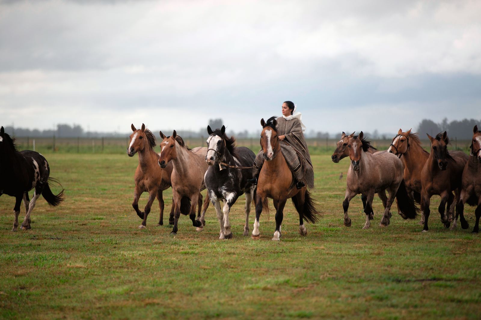 Bliss Events: Αργεντινή - Τόπος αντιθέσεων & έντασης Bliss Events: Αργεντινή - Τόπος αντιθέσεων & έντασης