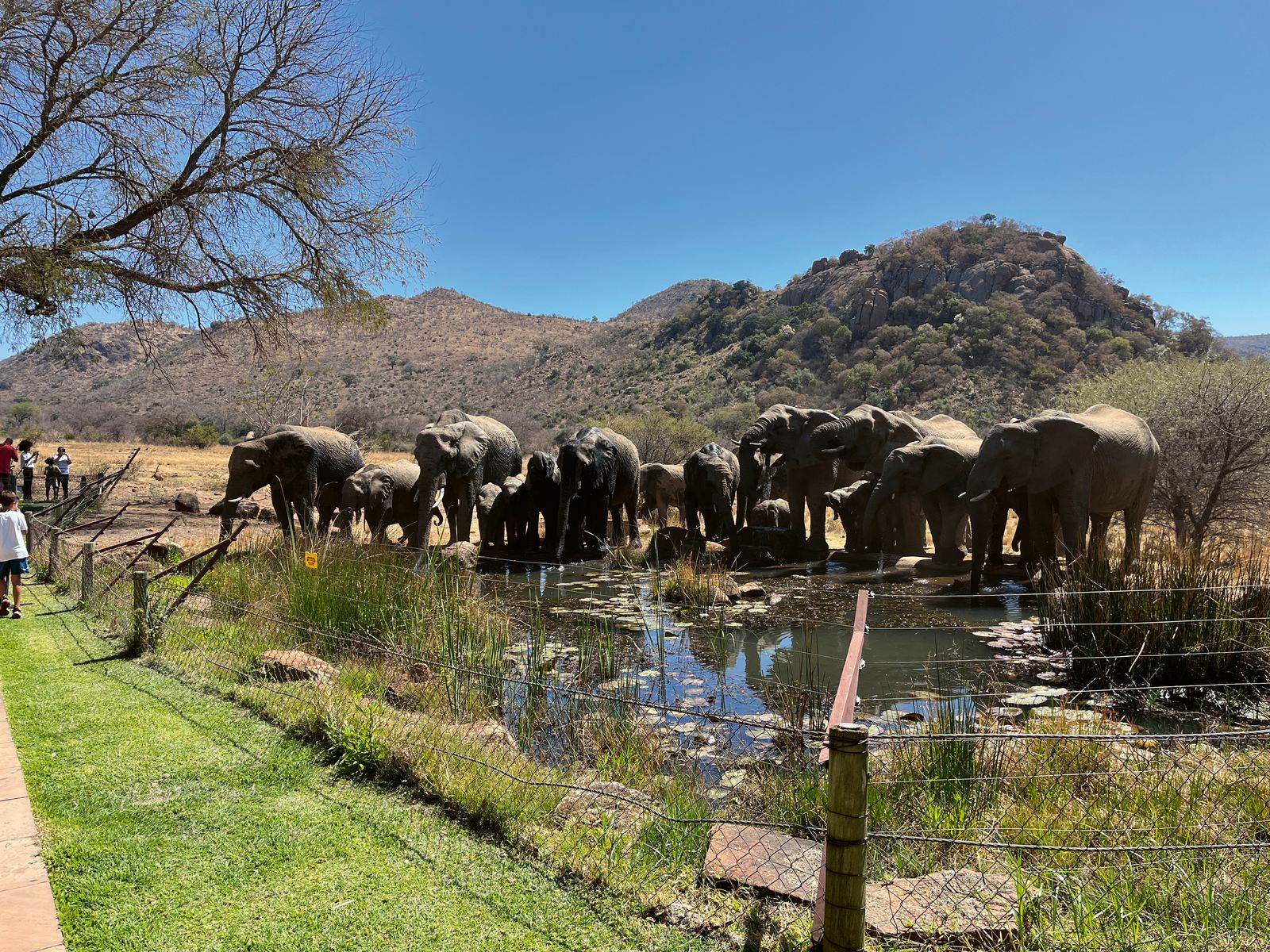 Bliss Events: Νότια Αφρική - Πολύχρωμη & πολυδιάστατη
