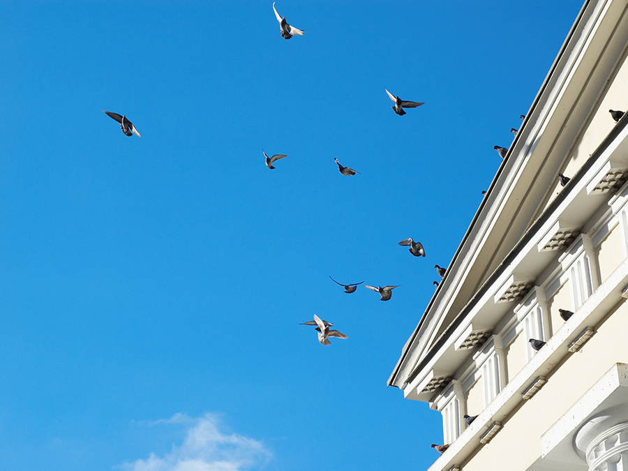 Ποιος θα αξιοποιήσει για χάριν του Θεσμού δημιουργικές ιδέες; (Editorial, Μάρτιος 2026)