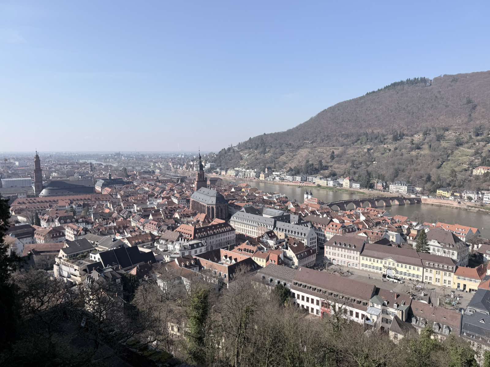 Επιθεώρηση Χρυσολόγου: Ταξίδι επιβράβευσης στην Αλσατία