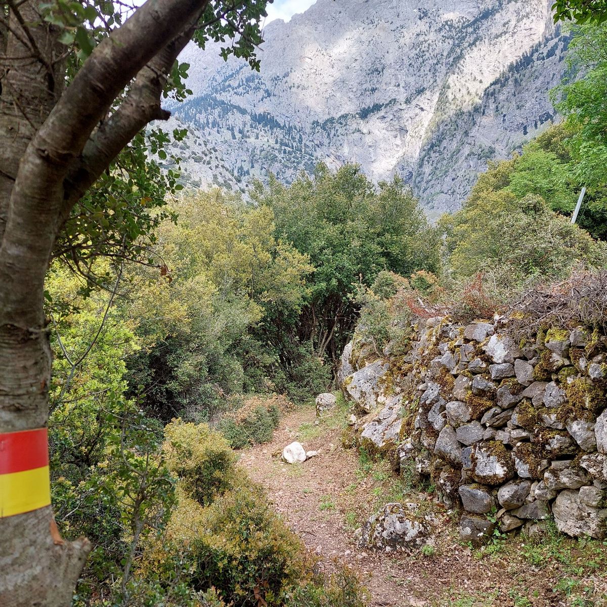 Στρατηγική συνεργασία NAK Insurance Brokers & Terra Pindus για την ανάδειξη του Pindus Trail