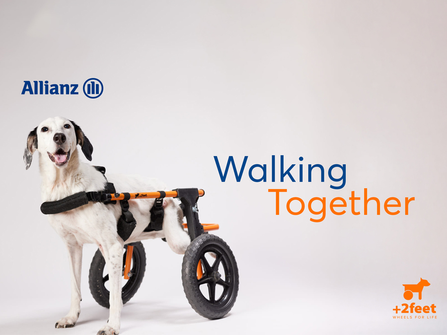 Allianz και Plus2Feet: Το “Walking Together” συνεχίζει να δίνει κίνηση σε ζώα που το έχουν ανάγκη Allianz και Plus2Feet: Το “Walking Together” συνεχίζει να δίνει κίνηση σε ζώα που το έχουν ανάγκη